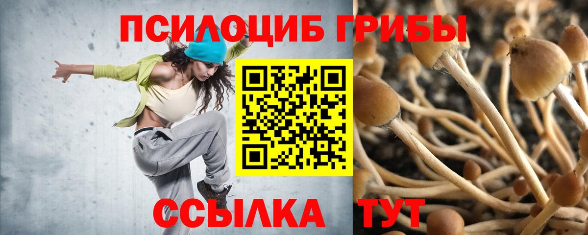 Азнакаево  Псилоцибиновые грибы мицелий  Вход с VPN  Галлюциногенные грибы ЛСД 